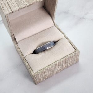 Blue Kyanite Stainless Steel Ring in a ring box